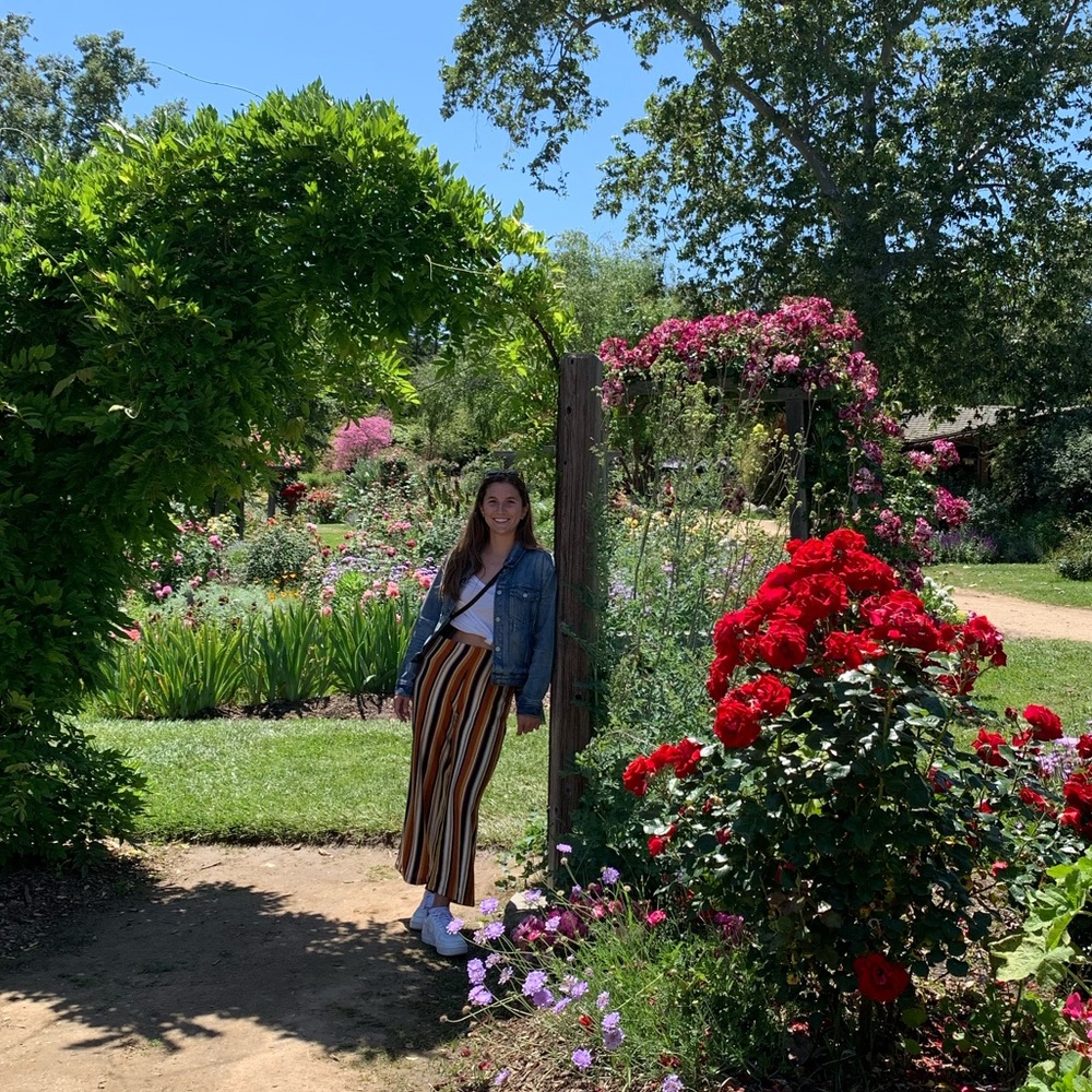 Meet your Posher, Sierra